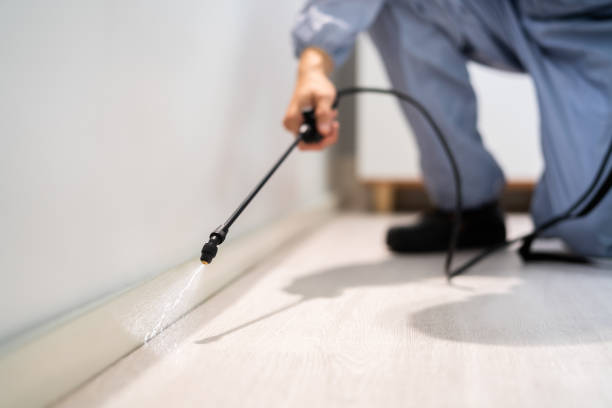 Licensed Pest Control service in Hinckley, IL - Show Me Pest Control