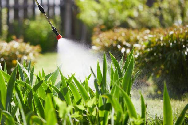 24/7 Emergency Mosquito Control experts in Hinckley, IL