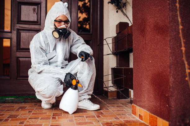 Reliable Mosquito Control contractor in Hinckley, IL by Show Me Pest Control